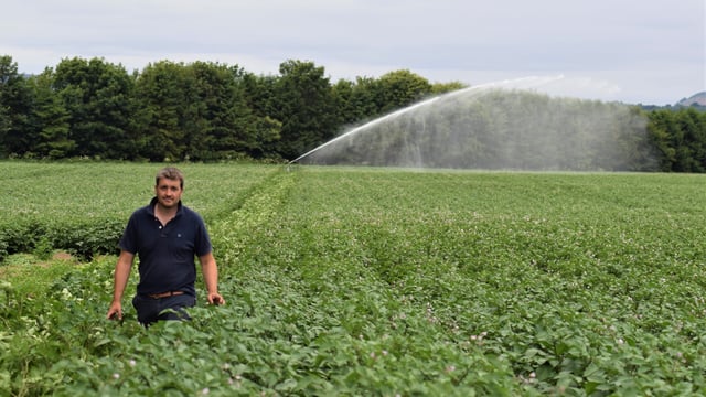 3 weeks without rain: How tech is helping one Perthshire potato farmer hold up