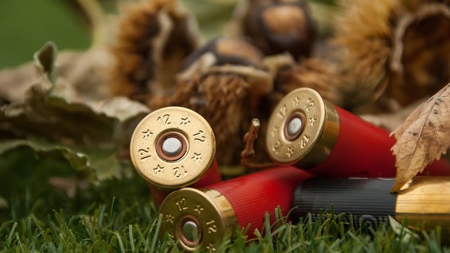 Countryside Alliance weighs in on firearm licencing medical review
