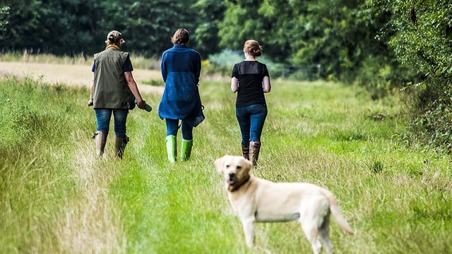 Doctors in Derbyshire to prescribe ‘nature’ to patients