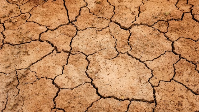 National Drought Group agrees to plan for future risk