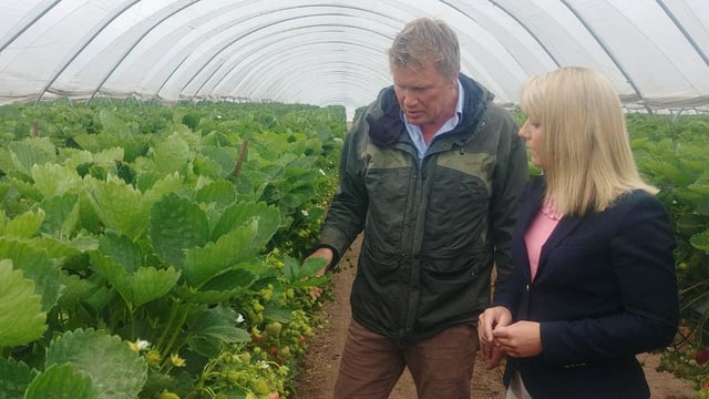 MPs see first-hand ‘appalling waste’ on Scotland’s fields of rotting fruit