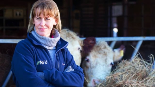 ‘The future of British food and farming is at stake’ – Batters