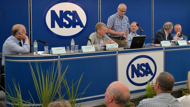 Plans beginning to take shape for NSA Sheep 2022