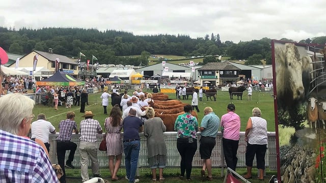 NFU Cymru to run webinar programme at virtual Royal Welsh Show