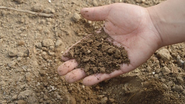 Farmers and growers urged to test soil to save on expensive inputs