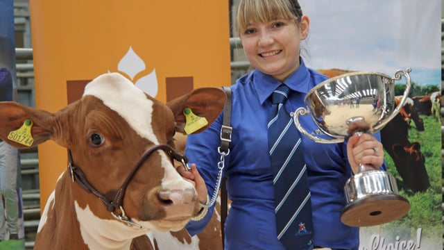 Entry date looming for Northern Ireland multi-breed calf show