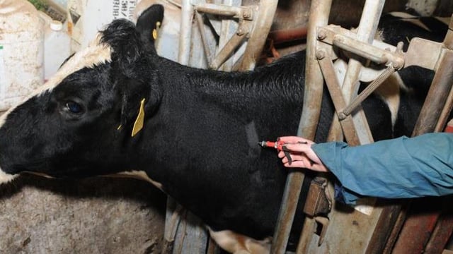 TB: Compulsory insurance and an end to compensation on the cards