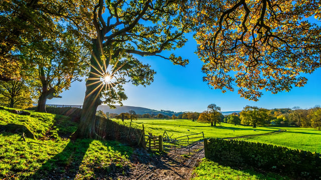 Report recommends Land Use Analysis Taskforce for UK