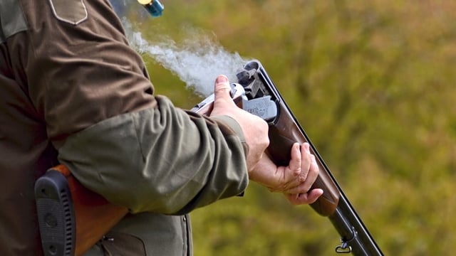 Report on grouse shooting shows its impact on biodiversity