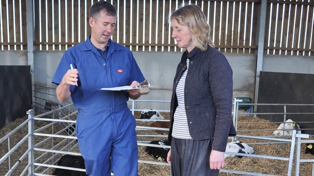 Dairy Day: Could a checklist approach improve your youngstock health?