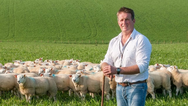 How Scotland’s border farmers are preparing for winter