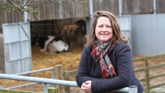 UK veterinary chain becomes first to offer clinical research collaboration