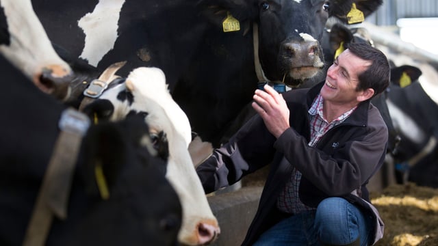 New programme aims to cut costs and increase profits