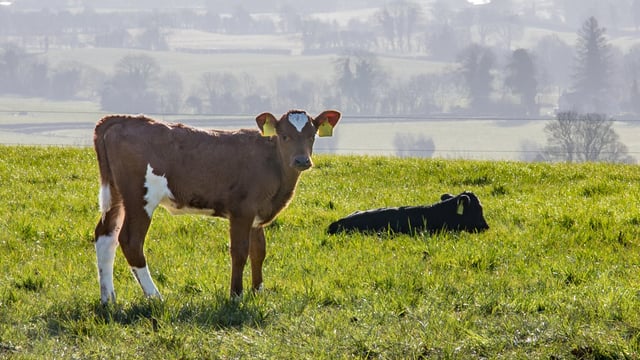 Farm research findings presented at recent conference