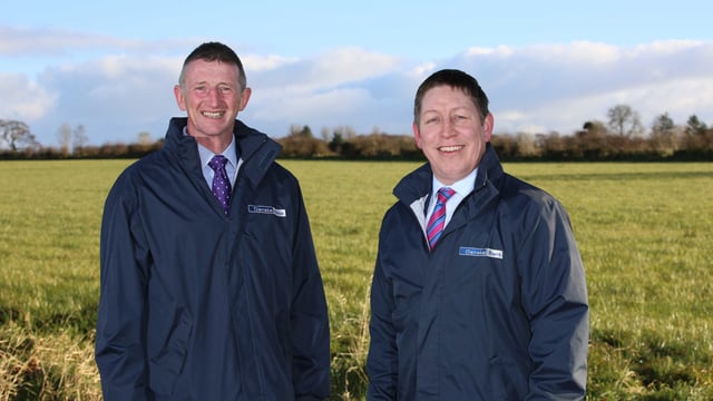 Danske appoints new Northern Ireland head of agri-business