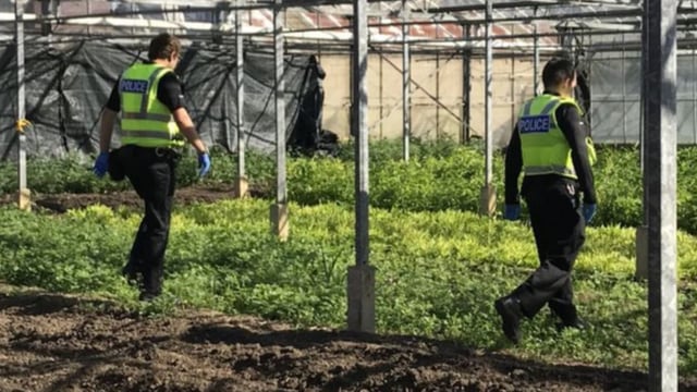 8 potential slavery victims rescued from Cambridge farm