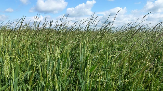 Natural England creates new 3,000ha nature reserve