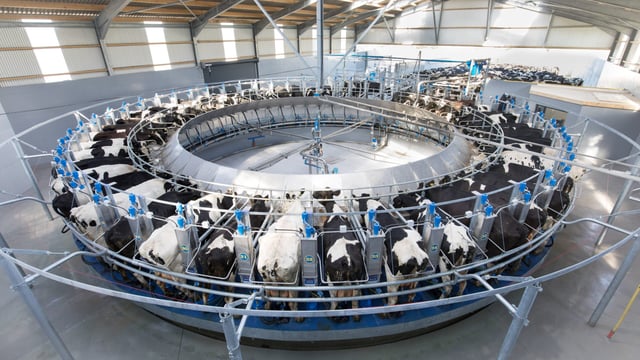 Dairy-Tech announces date and location for 2022 show