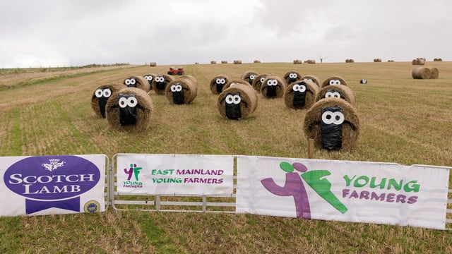 Pics: Bale Art competition finalists revealed