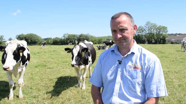 Robotic milking the first GEA Monobox in Northern Ireland