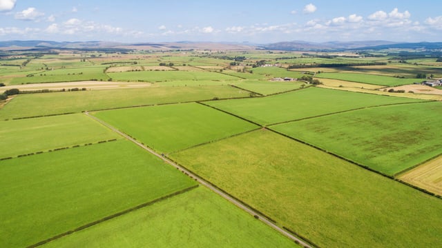 9,000ac Scottish borders estate hits the market at £19.5 million