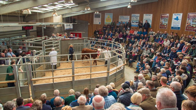 Alice enters wonderland with new Hereford centre record