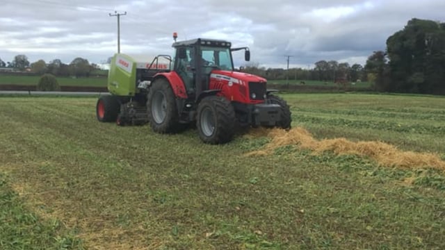 Thinking of baling forage crops? Here are some tips
