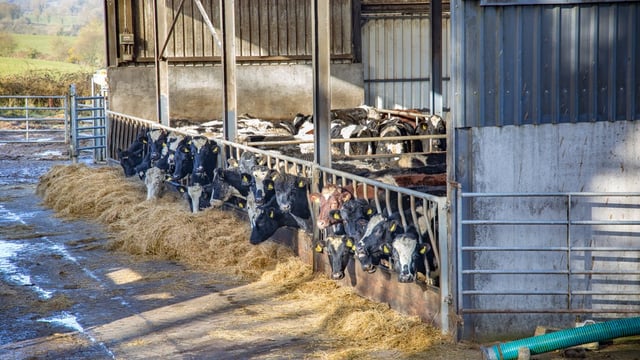Farmers urged to start planning winter feed and bedding strategy