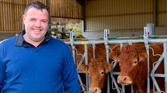 Enhancing suckler beef production on the agenda at monitor meeting