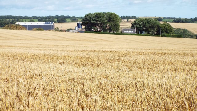 407.96ac commercial farm for sale in 2 lots in well-known farming area