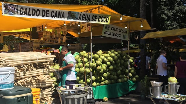 Brazilian producers race to ramp up traceability and sustainability as Brexit nears