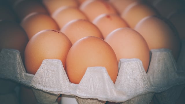 Egg industry launches £100,000 ‘food porn’ ads to crack Millennial market