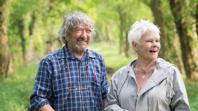 From MI6 to CRT: Dame Judi Dench takes on new role