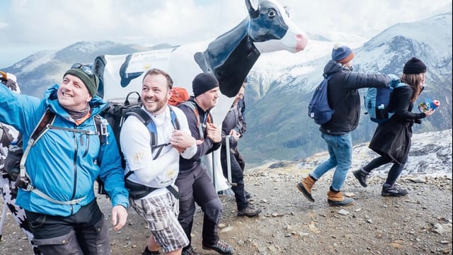Cows on Tour take to Wales to educate children