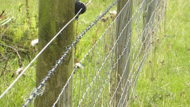Fence post shortage causes delays to Environmental Farming Scheme