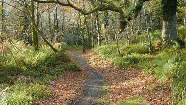 NI environment authority works with landowner to re-develop country park