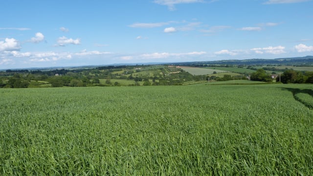 334ac at Worcestershire sees productive farmland for sale on 9 lots