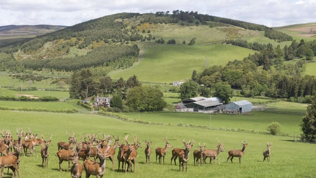 Highly regarded farming estate on the market…with a deer enterprise
