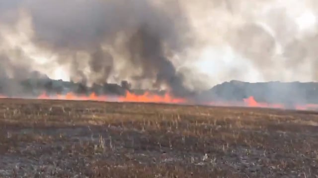 FUW to work with Welsh fire brigade on protecting land from wildfires