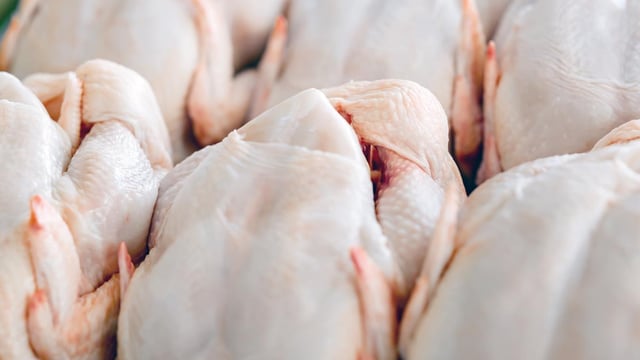 Taskforce established to help 2 Sisters poultry plant workers