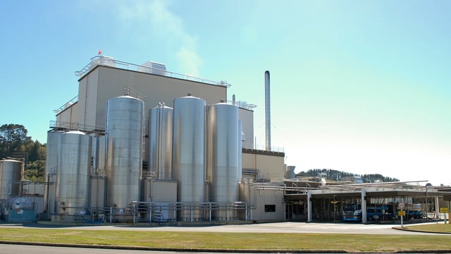 Some updates on the global milk production front