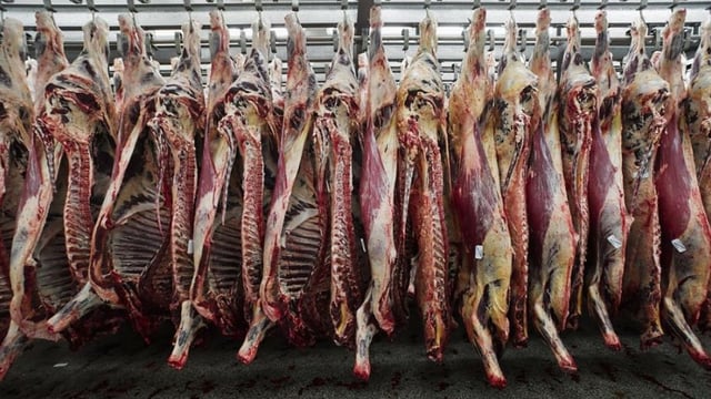 New farm groups alliance to host Northern Ireland beef crisis meeting