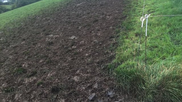 Should I house my cows to prevent poaching?
