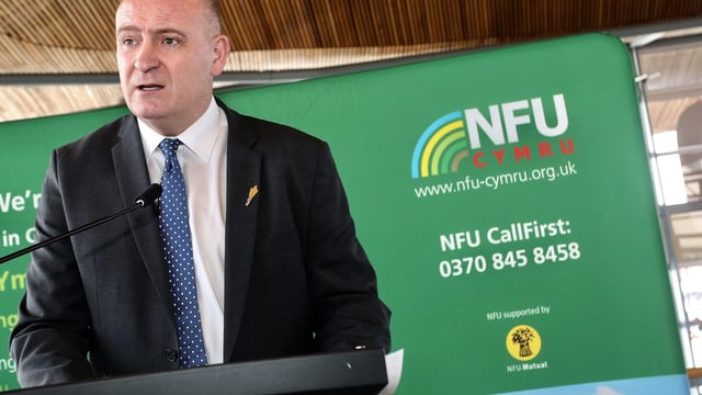 White Paper will not allow Welsh farming to ‘thrive in a post-Brexit marketplace’