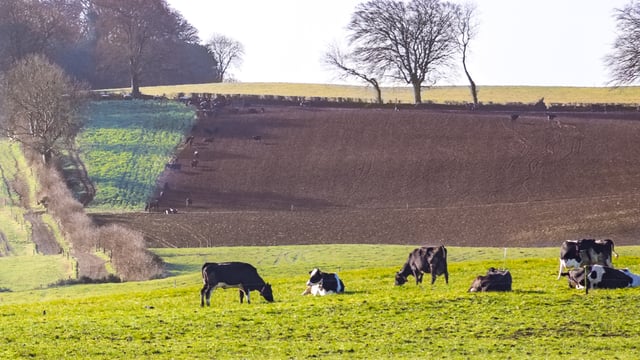 ‘Farmers in NI cannot produce food to a different set of rules to farmers in the south’