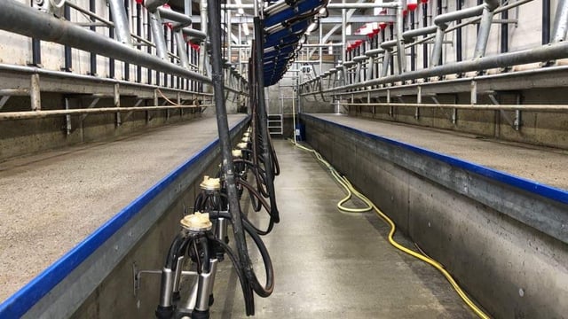 Opinion: Is robotic milking the future of farming?