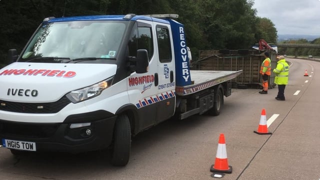 ‘Several sheep killed and injured’ following UK trailer accident