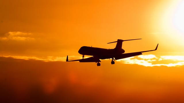 ‘Hypocrisy’: ICSA calls out EAT Lancet funders following airline takeover