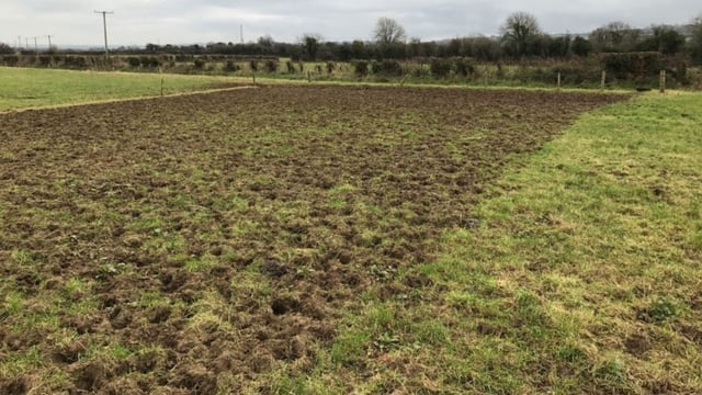 Farmers warned of liver fluke risks in wet weather