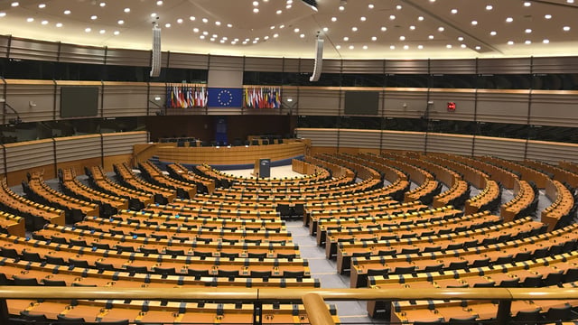 ‘Future of European beef sector’ to be discussed at EU committee